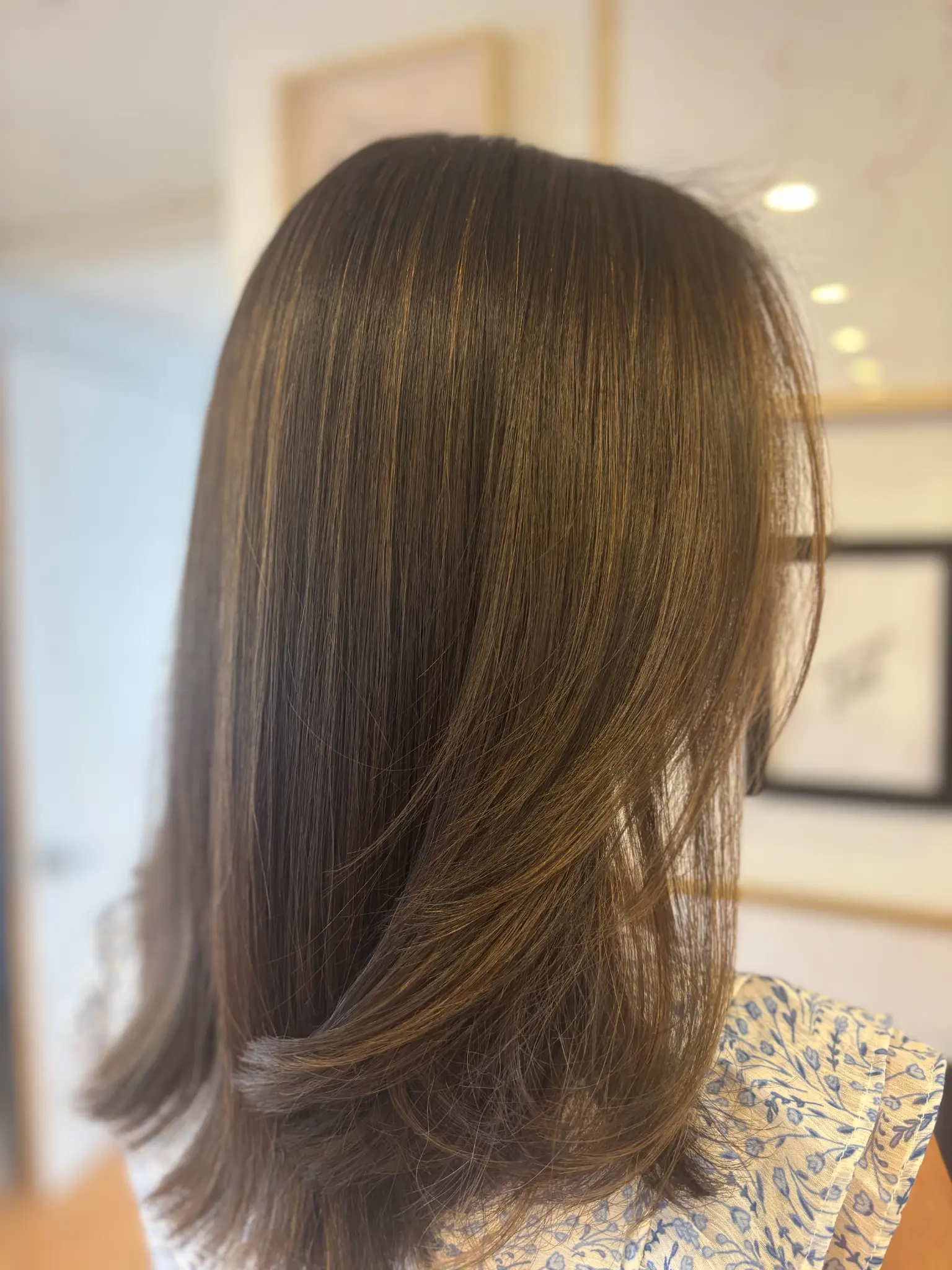 Coupe dégradée brune - Michele Lamontagne